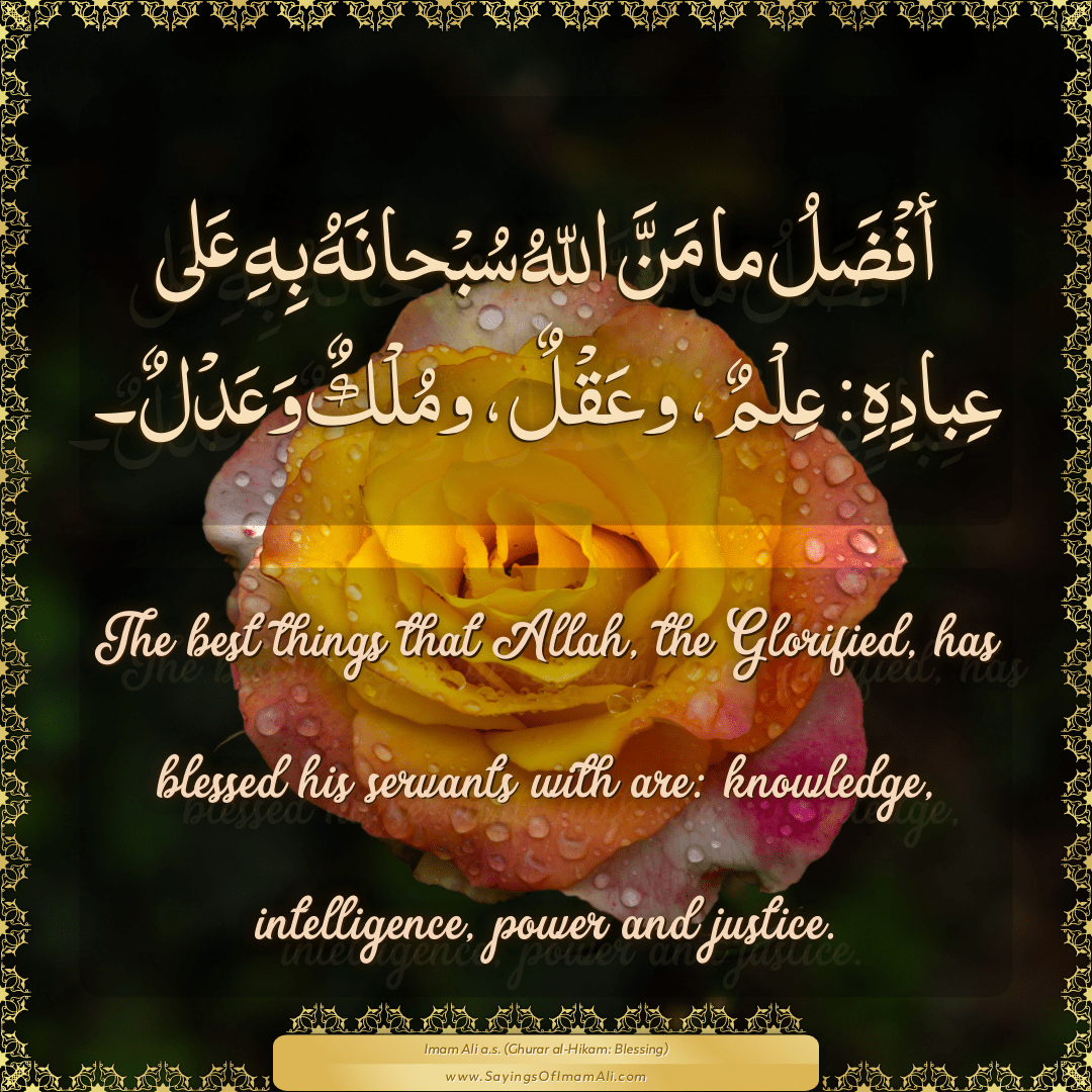 The best things that Allah, the Glorified, has blessed his servants with...